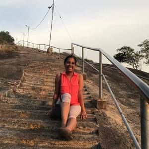 Meet your Posher, Sanasi